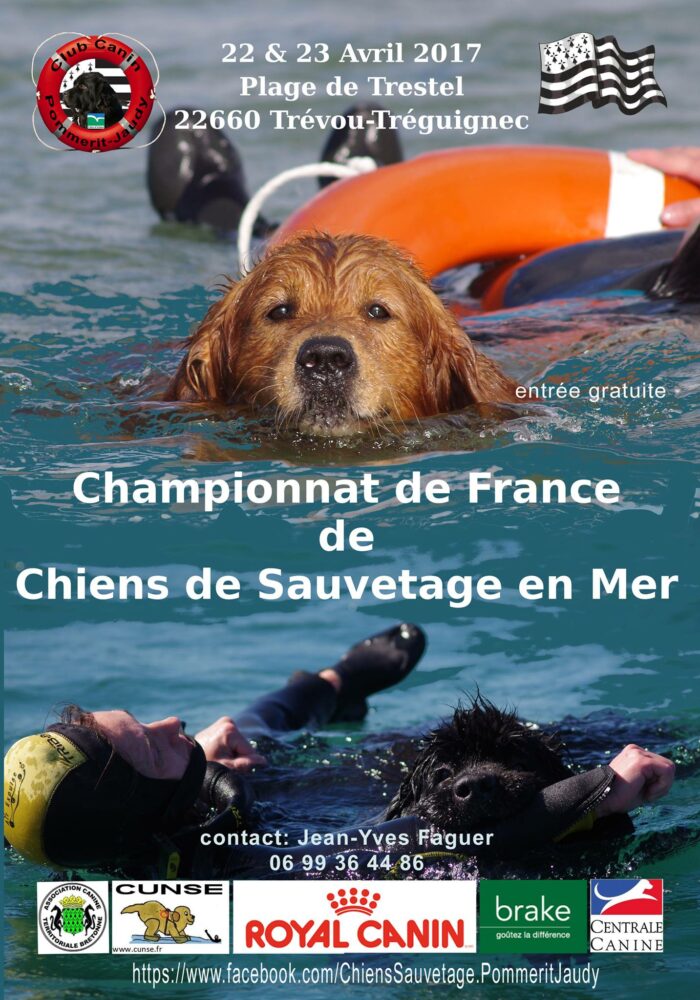 championnat de chien de sauvetage en mer 2017