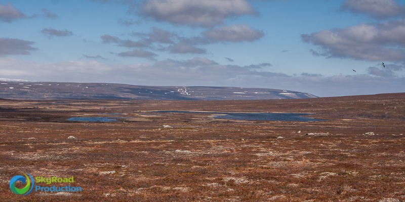 (2012-07-15 09-52-48)Canon Canon EOS 40D (3888×1944)