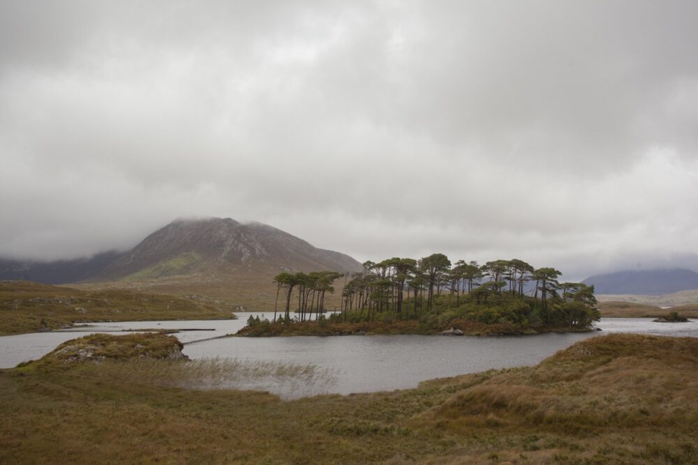 SKYROAD_PRODUCTION_2017__MG_1228