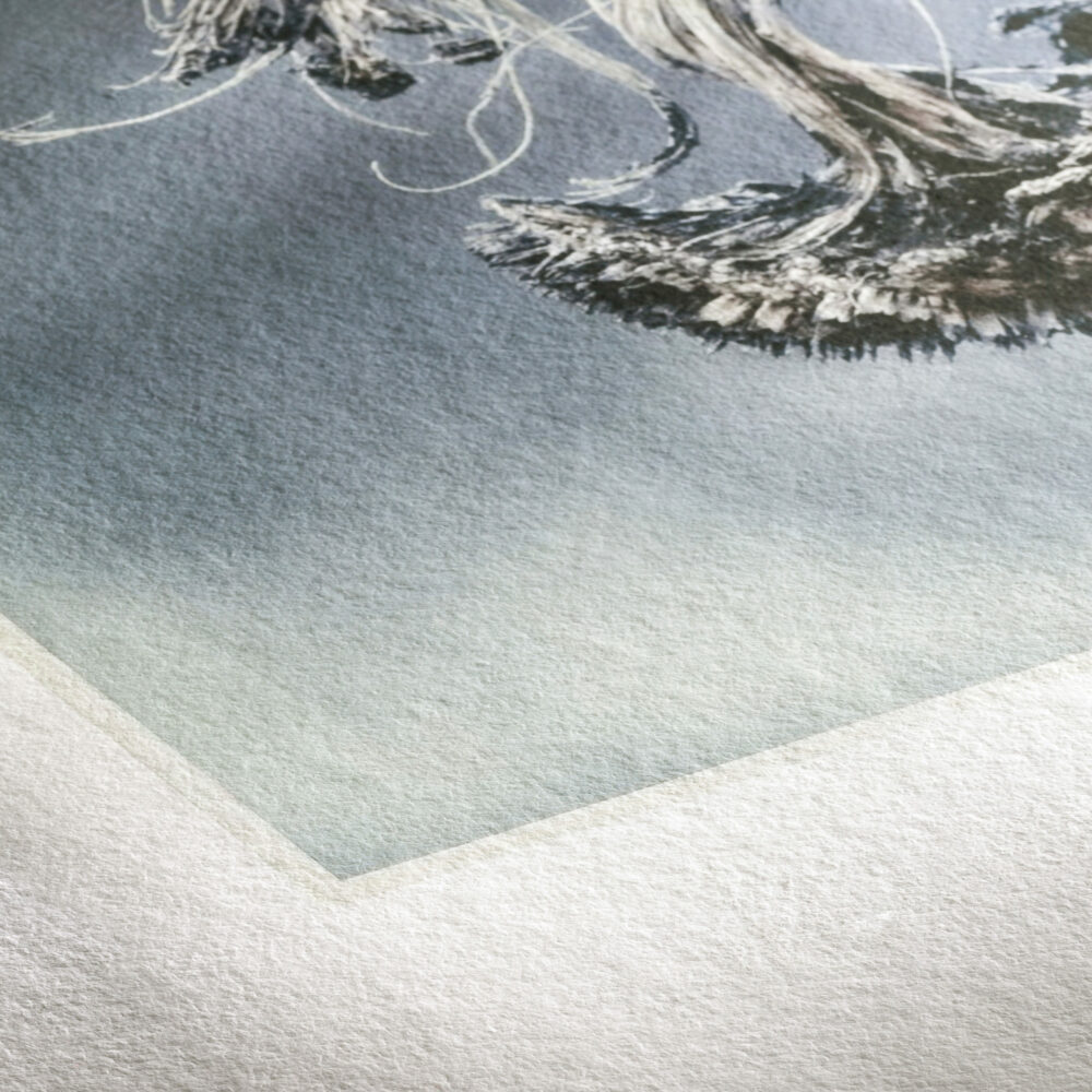 RS591_Hahnemuehle_Museum_Etching_Closeup-hpr