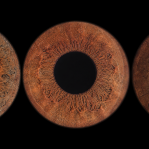 Bon cadeau – Iris Trio sans effet