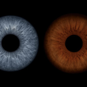 Bon cadeau – Iris Duo sans effet