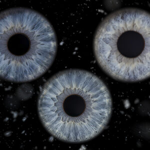 Bon cadeau – Iris Trio avec effet