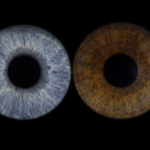 Bon cadeau – Iris Quatro sans effet