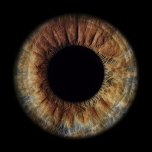 Bon cadeau – Iris Solo sans effet