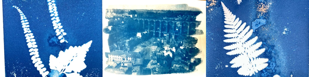 Atelier initiation au cyanotype