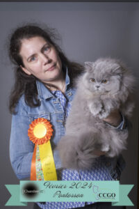 Studio_chambre27__D4_0001