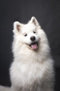 Studio_chambre27-0173-2